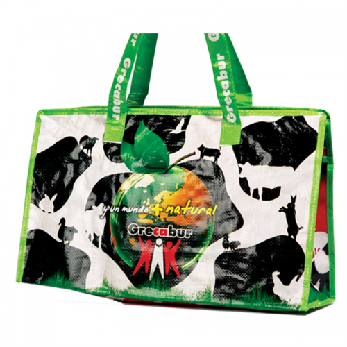 PP Woven Promotional Bag