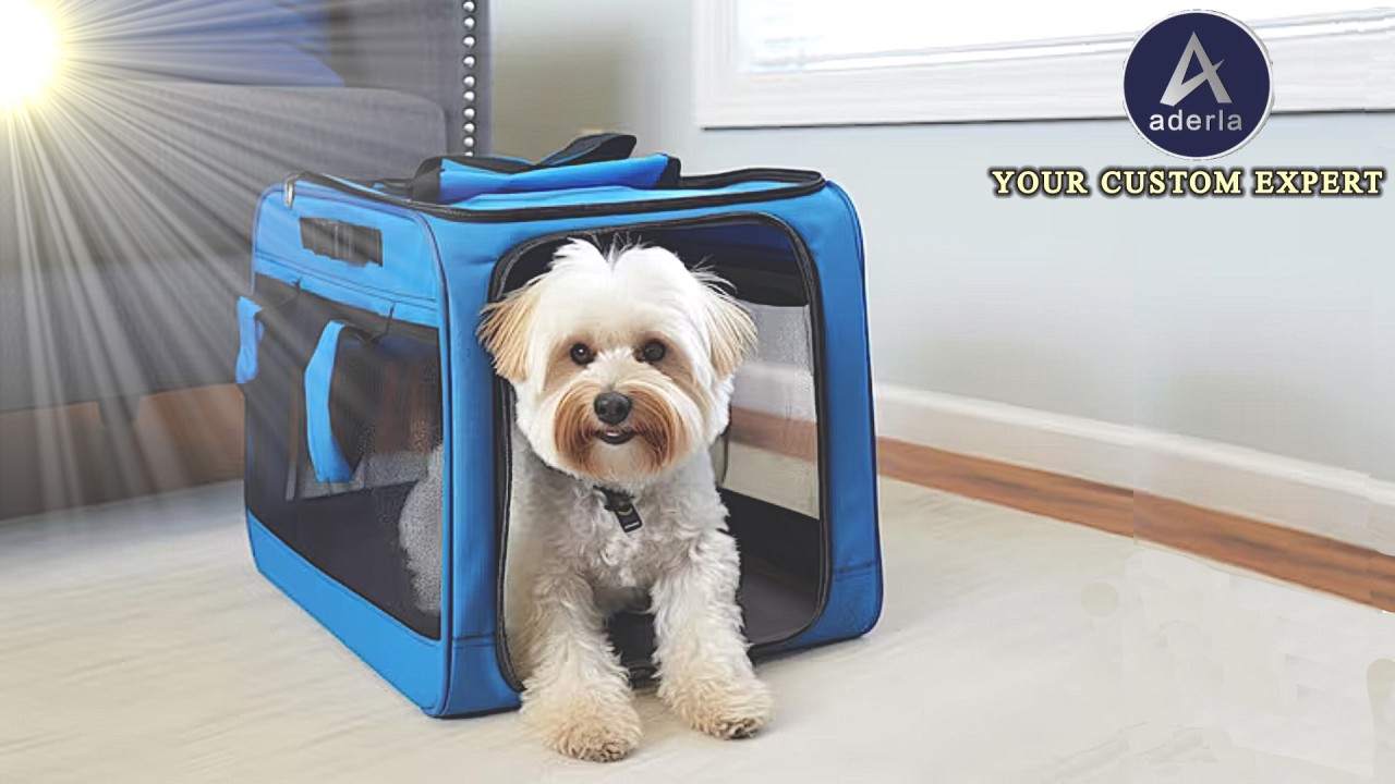 How to Keep Your Pet Healthy?