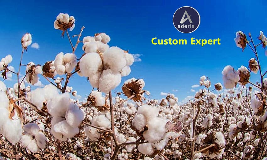 The Growth And Evolution Of Aderla As They Continue To Expand Their Collection Of Natural Cotton Bags And Accessories